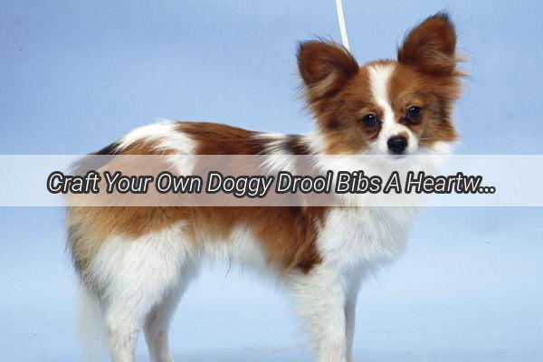 Craft Your Own Doggy Drool Bibs A Heartwarming and Easy Crochet Guide